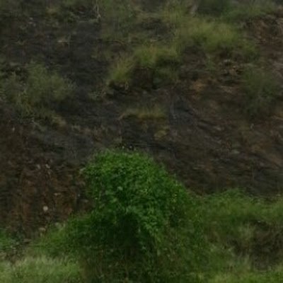 hammad_abd89531's profile picture. 