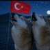 Yafeys (@turk_yafes) Twitter profile photo Yafeys (@turk_yafes) Twitter profile photo