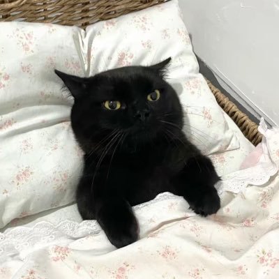 絵名ちゃんロリいつ?さんのプロフィール画像