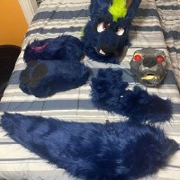 Noah🐾 Furry 🐾 Artist 🔞 (@noahfursuit99) 's Twitter Profile