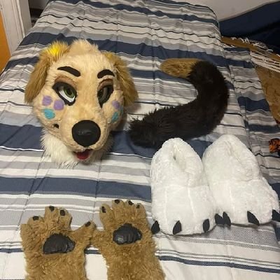Belly🌬️ pansexual Furry lover💋 fursuit maker ✂️I like furry community commission work open✂️
