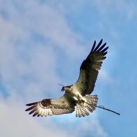 Eliza Barry (@plisder) 's Twitter Profile Photo