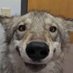 Limbø (@l1mbolots) Twitter profile photo Limbø (@l1mbolots) Twitter profile photo