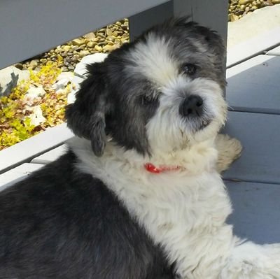 hearttechacsm's profile picture. MAGA
Retired healthcare worker