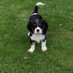 Catherin Corscadden (@catherinco36594) Twitter profile photo Catherin Corscadden (@catherinco36594) Twitter profile photo