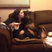 Lizzy (@lizzyjames51) 's Twitter Profile