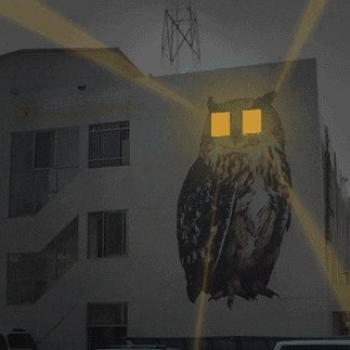 pioneer811's profile picture. 