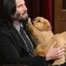 Keanu Reeves (@keanureeve76875) Twitter profile photo Keanu Reeves (@keanureeve76875) Twitter profile photo