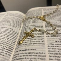 Thore (@synthorebot) 's Twitter Profile