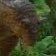 rodie (@goodlikethought) Twitter profile photo rodie (@goodlikethought) Twitter profile photo