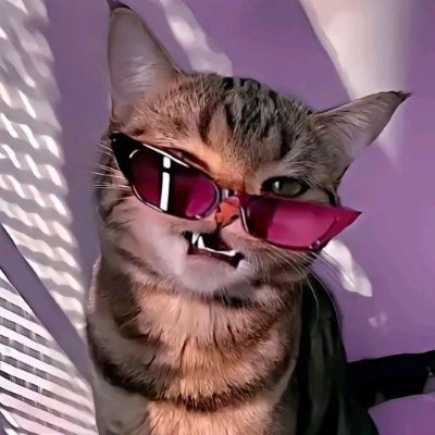 KjdKorean's profile picture. 