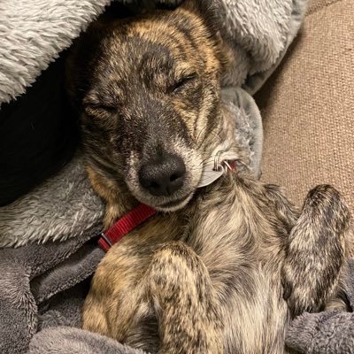 MannSwe98949's profile picture. 