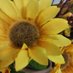 Maria rosa Aguirre (@a25343_rosa) Twitter profile photo Maria rosa Aguirre (@a25343_rosa) Twitter profile photo