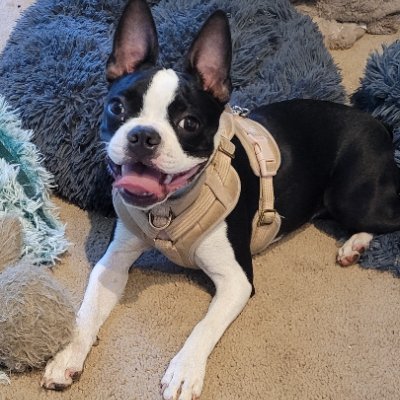 LMB_0000's profile picture. 