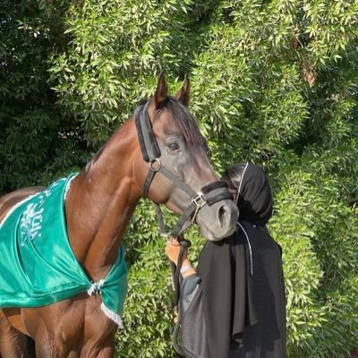 _urnii's profile picture. Tour Guide in Al-Taif📍🇸🇦| Life Ambassador First-Aid .