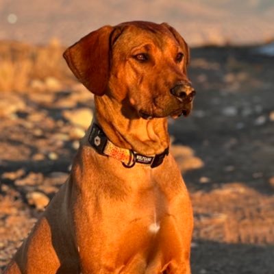 citizenracer's profile picture. There's nothing to see here.