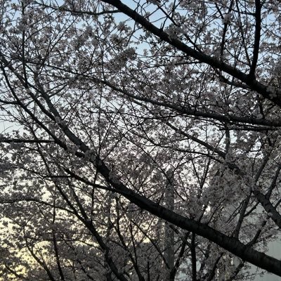 R6748112831199's profile picture. 凍結されたので再始動173.85.28