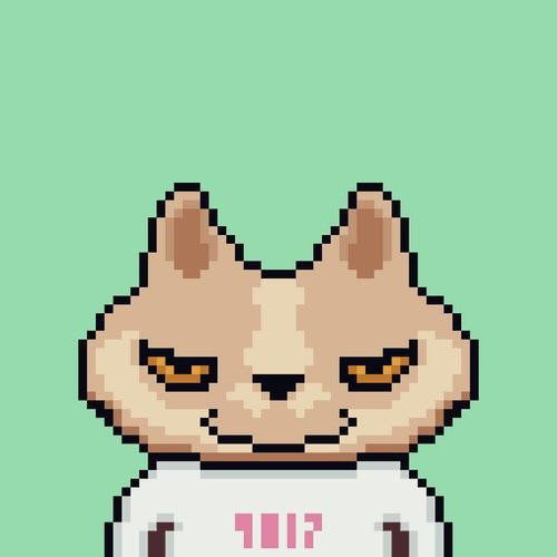 Programmer, Entrepreneur, Crypto/NFT enthusiast. Empowered NFT Enthusiastic