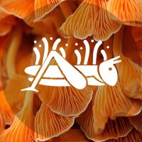 Bosque De Chapultepec (@chapultepeccdmx) 's Twitter Profile