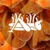 Bosque De Chapultepec (@chapultepeccdmx) Twitter profile photo Bosque De Chapultepec (@chapultepeccdmx) Twitter profile photo