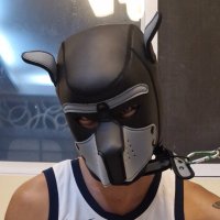 EnergizerBunny (@vee_puppy) 's Twitter Profile