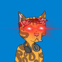 ᛤ 🐇 (@xxxxnft) 's Twitter Profile