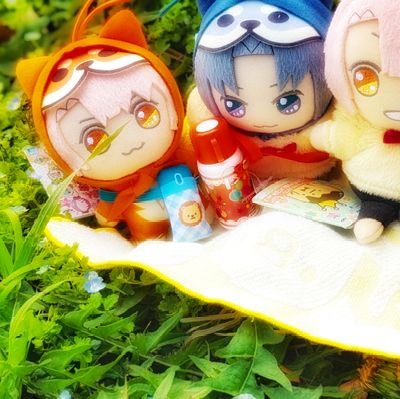 汐鴣さんのプロフィール画像