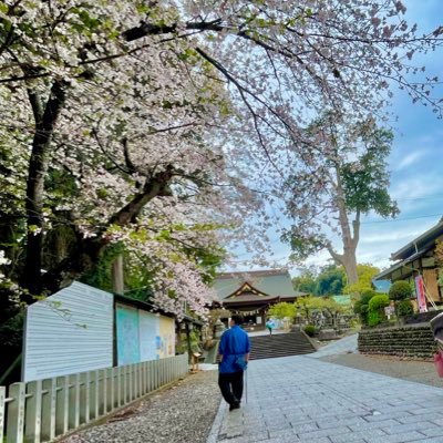 sf0827's profile picture. 結局最後は健康