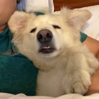 ๐ฎโ๐จ (@enroutetowander) 's Twitter Profile