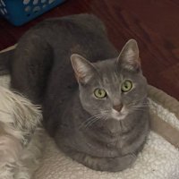 A Spears (@au77156) 's Twitter Profile
