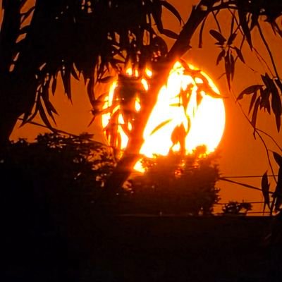 lesley_murdoch's profile picture. Im me and im  free