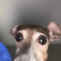 kaksim lurv💅 (@maximkroft) 's Twitter Profile