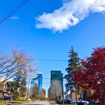 bukenengde's profile picture. 