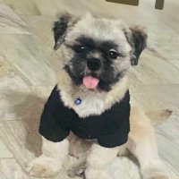 kulin (@littlekuleng) 's Twitter Profile Photo kulin (@littlekuleng) 's Twitter Profile Photo