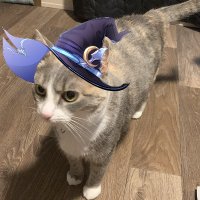 Rin Tsukimagi 🌘🧙♂️ (@rin_tsukimagi) 's Twitter Profile
