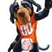 SmokeysNutz (@smokeysnutz) Twitter profile photo