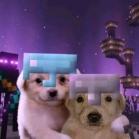 ntpoda (@ndinotopia) 's Twitter Profile