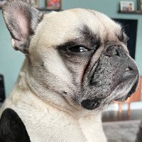 AnyaCette (@anyacette) 's Twitter Profile