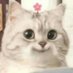 piw🦋 freetag! (@easyujiinrs) Twitter profile photo piw🦋 freetag! (@easyujiinrs) Twitter profile photo