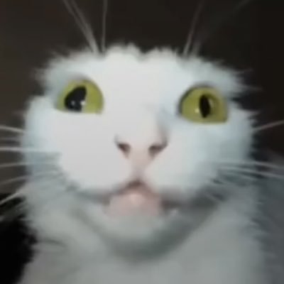 SkrunklyNaib's profile picture. 