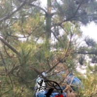 黑鹰 (@zhaoyuhui13) 's Twitter Profile Photo 黑鹰 (@zhaoyuhui13) 's Twitter Profile Photo