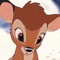 𑁤 (@bambitofani) 's Twitter Profile