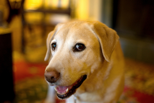 vickyfav's profile picture. 