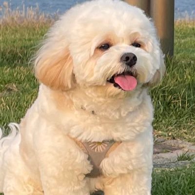 さらださんのプロフィール画像
