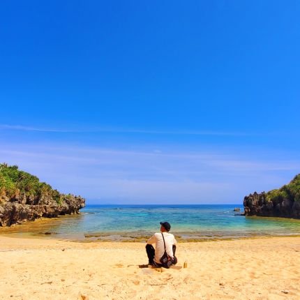 MsLABO6's profile picture. 