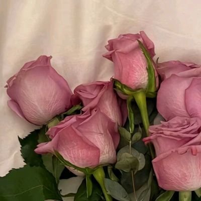 sabebshyaa's profile picture. 🇮🇩 • personal acc & selective