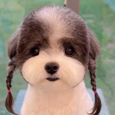 GandhiRahu13778's profile picture. 