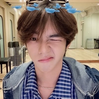 YehoCai's profile picture. 🌟🐶