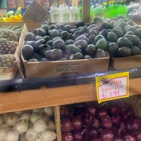 🥸 (@futurenewyorker) 's Twitter Profile