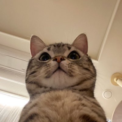 puengsc24's profile picture. #ZeeNunew #ซนซน #เติ้ลเฟิร์สวัน